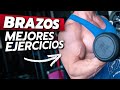 MAXIMIZA TUS BRAZOS: La GUÍA COMPLETA para optimizar tus Bíceps, Tríceps y Hombros.