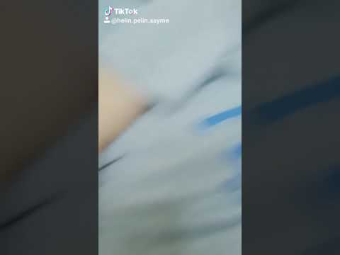 Teldeki Güvercin Yalıdaki Çapkın Anana Günaydın