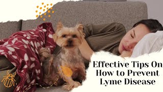 Effective Tips On How to Prevent Lyme Disease 🐾