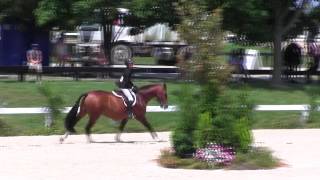 Video of CRACKER JACK ridden by NATALIE L. JAYNE from ShowNet!