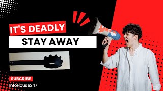 Black Plastic Utensils and Toys are TOXIC! Shocking Study Unveils Dangers