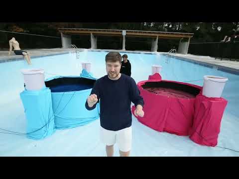 World Record Biggest Elephant Toothpaste @MrBeast #mrbeast