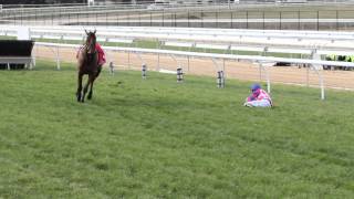 The fall of Lucky Lurch - Mornington Racetrack 2012