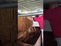 حلويات التراث العثماني