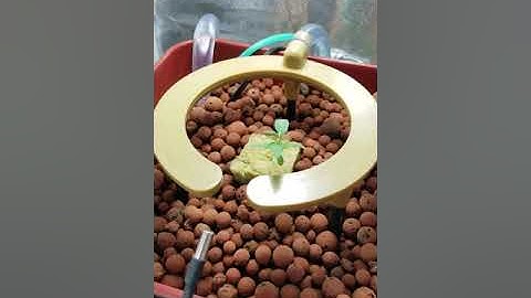 MircoGrow- GH Waterfarm 2x2 Tent