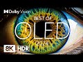 Best oled 2024  dolby vision 8kr