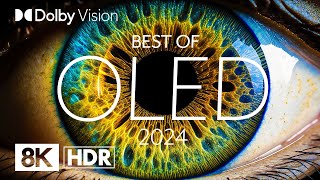 Best Oled 2024 Dolby Vision 8K Hdr