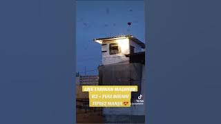 TARIKAN TIPIS - TIPIS R3   FULL BIRAHI😍