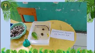 PENGELOLAAN LINGKUNGAN BELAJAR PAUD - SENTRA ALAM #ikipsiliwangi #sentraalam #lingkunganbelajar #ytb