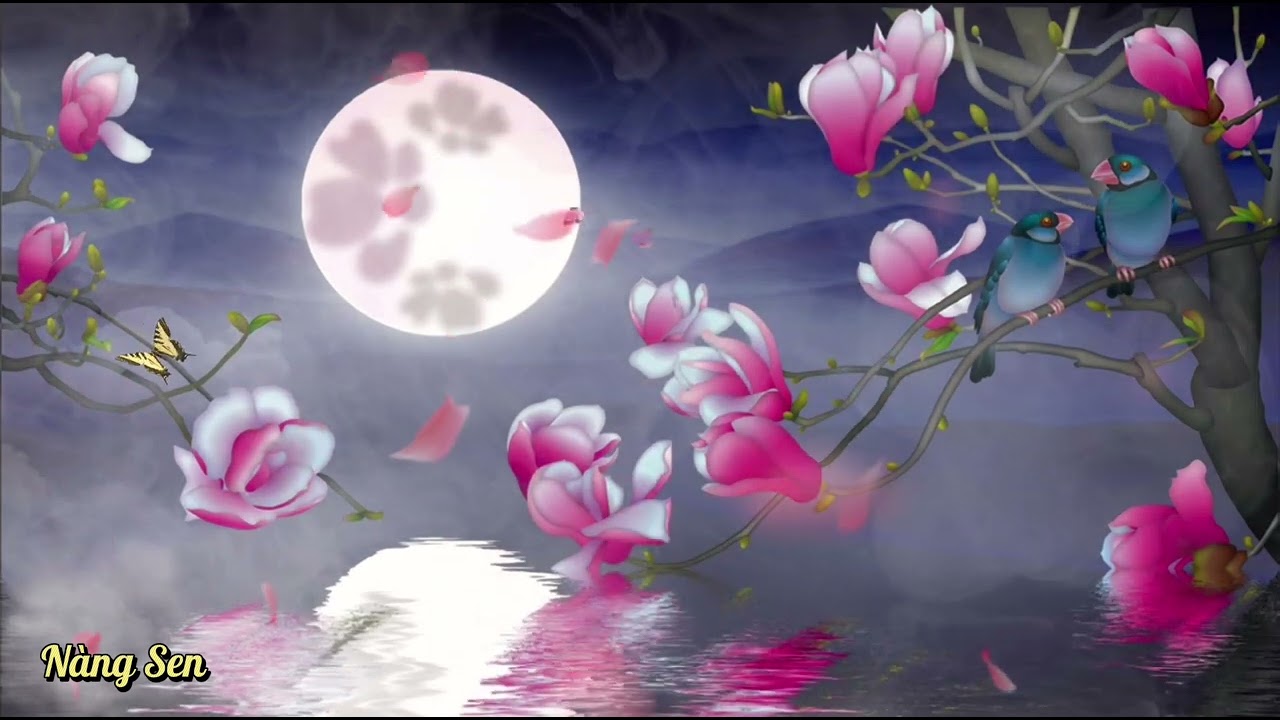 ĐÀO NGUYÊN HÀNH - Nàng Sen - YouTube