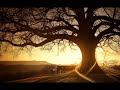 محمد عبده الهوي الغايب YouTube 