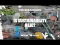 Is sustainability a lie