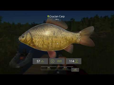 Russian Fishing 4 Learning The Basics Of Bottom Feeder Fishing At