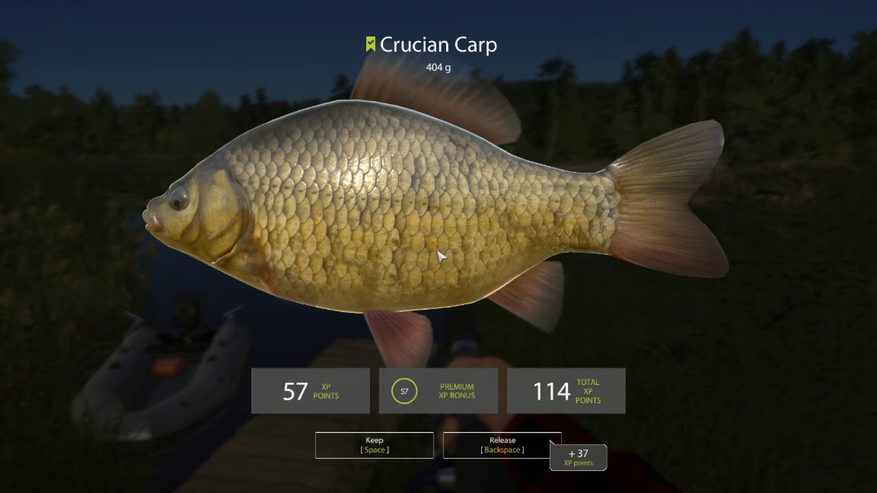 Russian Fishing 4 Learning The Basics Of Bottom Feeder Fishing At