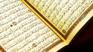 Al-Mulk 67 HQ- salah hashem