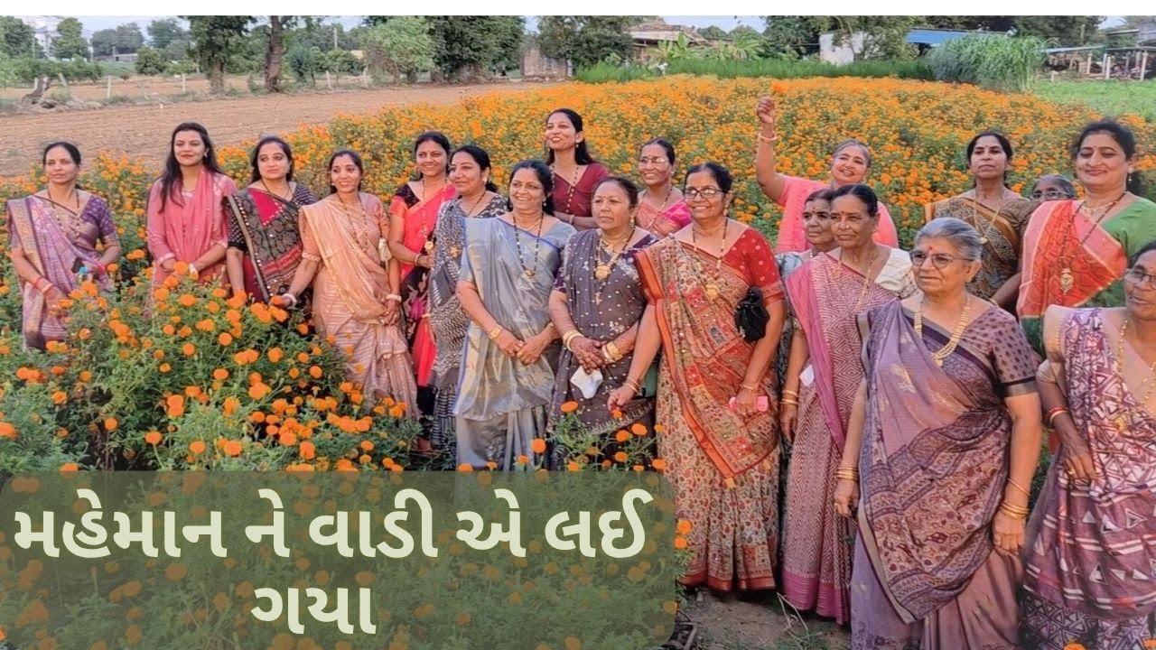 બધા maheman ne વાળી એ  લઈ ગયા 😍✨| #farmer #viralvideo