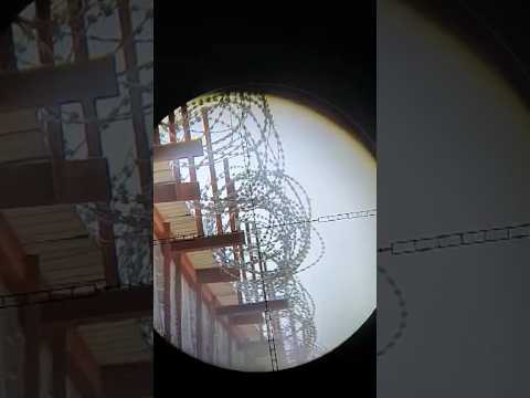 شوف الدقه والقوه من فتحه السيم الصيد البر غليص قميري الحمام الصحراء كشته سفر قران تاريخ مصر