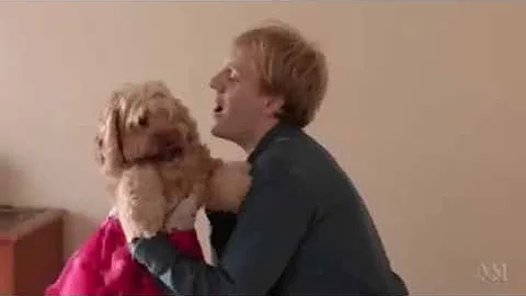 please like me season one supercut