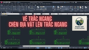 VẼ TRẮC NGANG - CHÈN ĐỊA VẬT LÊN TRẮC NGANG