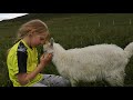 The goat Kasper and the girl Kristjana Maj 💕 #happyanimals #holarfarm #bbf