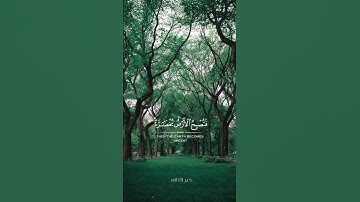 ألم تر أن الله أنزل من السماء ماء | القارئ عبدالله الخلف سورة الحج