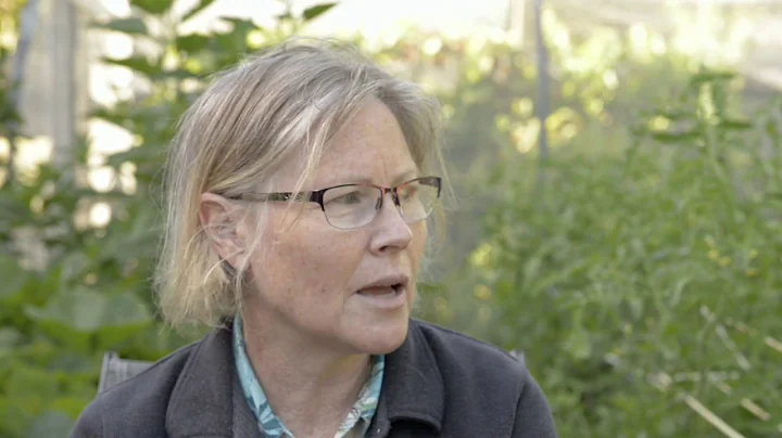 Deborahs Wild Edible Garden
