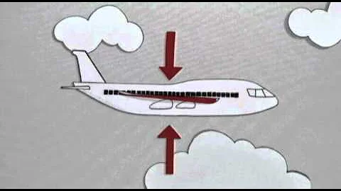 O que acontece quando um raio atinge um avião *?