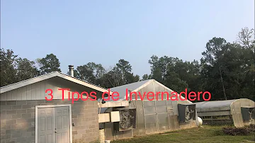 ¿Cómo elegir el tipo de invernadero?