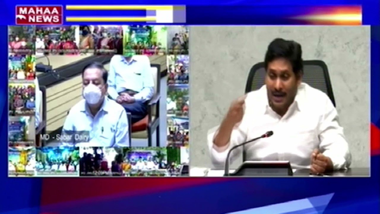 CM Jagan Launches Jagananna Palavelluva AP Amul Project In Jagananna Palavelluva | MAHAA NEWS