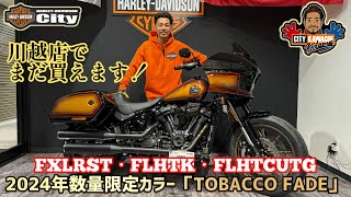 HARLEY希少FlameTiger90s美しいリアルフェードこれこそ本物です