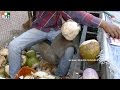 COCONUT SELLER | OLDEST STREET FOODS | | FOOD &amp; TRAVEL TV