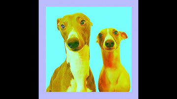 Trunky Juno - I'm Just As Scared As You Are