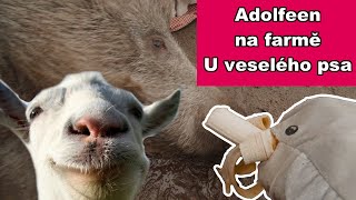 ADOFEEN NA FARMĚ U VESELÉHO PSA