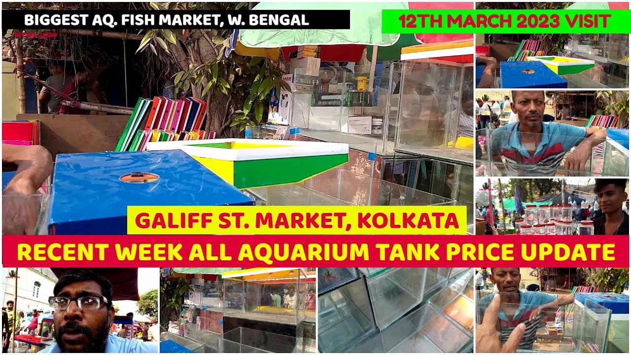 Recent Week Aquarium Tank Price Update Galiff Street Aquarium Fish