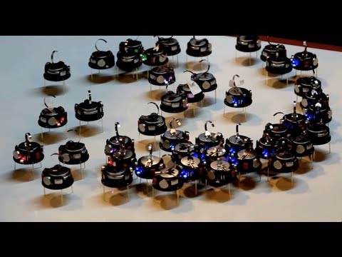 Kilobot - Swarm Robots - Collective Behaviour Demonstration with Q&A - Sheffield University