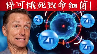 鋅可餓死致命细菌、腸道好吸收的鋅形式,自然療法,柏格醫生 Dr Berg