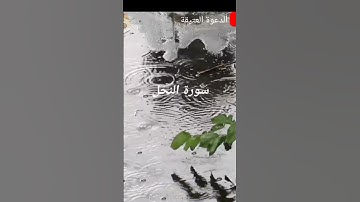 سورة النحل لقارئ يمني |#سورة_النحل