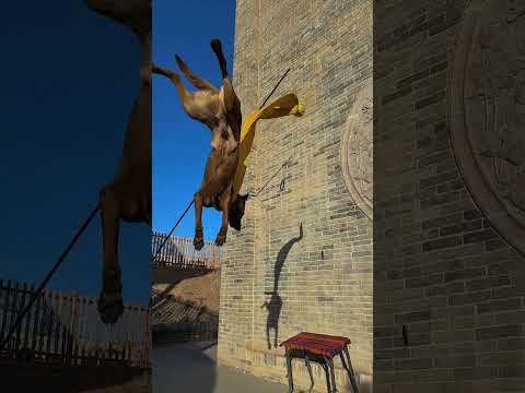 High Powered Horse Dog 3 