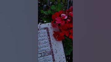 قران كريم بصوت الشيخ ماهر المعيقلي راحه نفسيه 🥺🥺♥️❤️🧡 #اسمعنا #لايك #اكسبلور #أطمئن