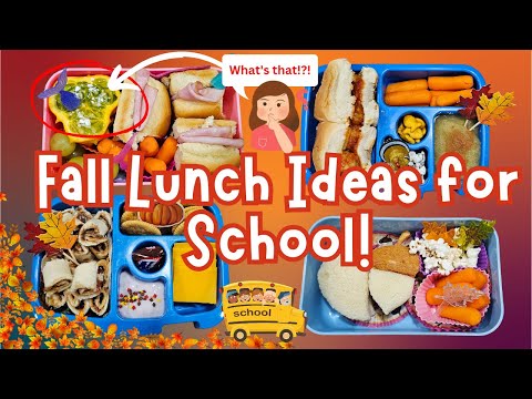 The BEST 🔥HOT Lunch Ideas - School lunch ideas for KIDS! - Week 3, Bella  Boo's Lunches