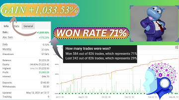 Hippo Trader Pro MT4 EA – Automated Forex Trading Robot for EURUSD M1 Trend-Following