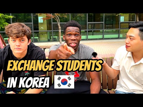   Would You Recommend Student Exchange Program To Korea
