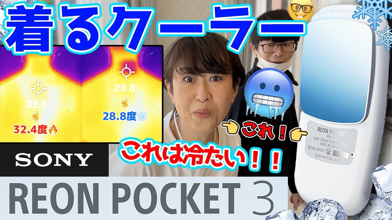 不知火　ジャングルポケット　カネヒキリ　ファインモーション ウマ娘と名馬】ジャングルポケットが繋いだキセキの物語 | 競馬