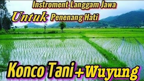 Instroment Langgam campursari Konco Tani + Wuyung sangat cocok buat cek sound.