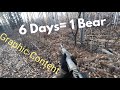 Grizzly bears boats and gravel bars in alaska graphic content