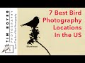 7 Best Bird Photography Locations In The US