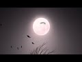 مساء الورد لكل من بنوا جسرا من المحبة ليعبروا به إلى قلوبنا ولم يتخذوا عليه أجرا فمن أهدانا ورد مساء الورد لكل من بنوا جسرا من المحبة ليعبروا به إلى قلوبنا ولم يتخذوا عليه أجرا فمن أهدانا ورد