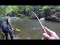 TROUT Fishing with GULP Minnows