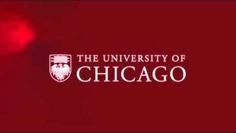 W.J.T. Mitchell: Race, Media, and Visual Culture