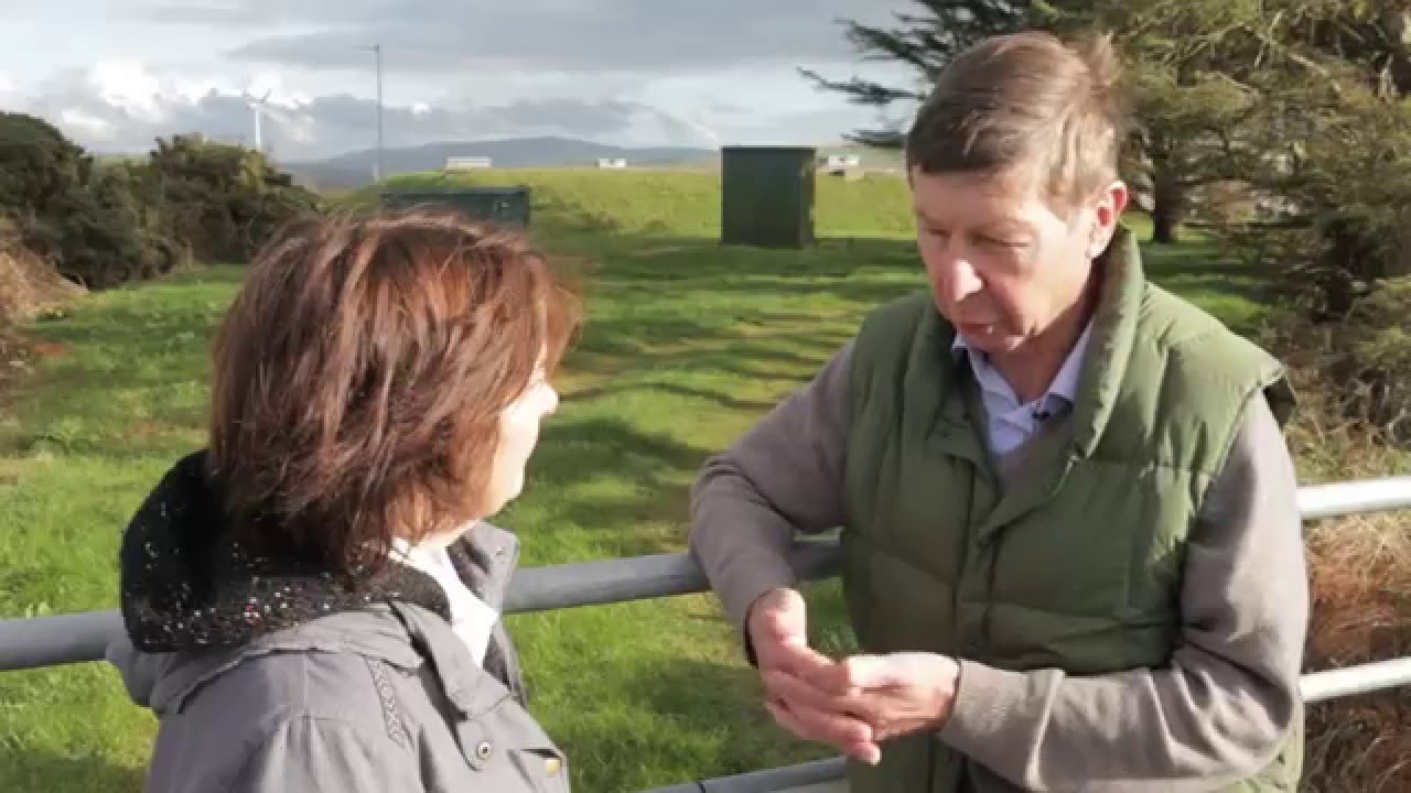 Shine a Light? - Tom Latter - Transition Bro Gwaun - Community Energy Local Heroes